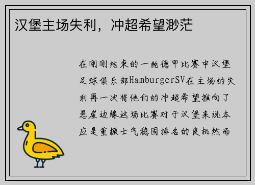 汉堡主场失利,冲超希望渺茫